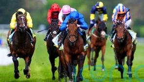 Arabian Crown comes through Classic Trial with flying colours