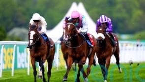 Siyola justifies being held in high regard by Gosdens