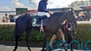 Camille Pissarro makes favourable impression on debut