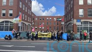 &lsquo;Ignorant&rsquo; use of language by Helen McEntee is &lsquo;recycling far-right rhetoric&rsquo;