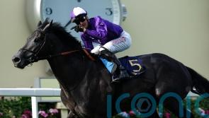 King Of Steel looks set for Sandown seasonal debut