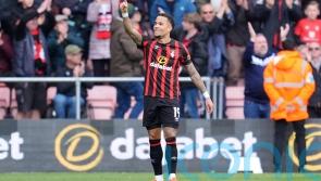 Bournemouth brush aside Brighton to move into Premier League top half