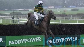 McManus duo primed for Champion Chase challenge