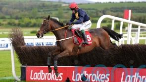 Fastorslow too strong for Galopin Des Champs in Punchestown repeat