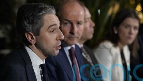 Irish government &lsquo;confirms&rsquo; no police being sent to NI border