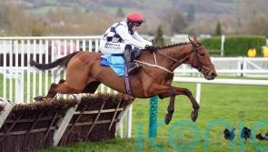 All eyes on brilliant Ballyburn at Punchestown