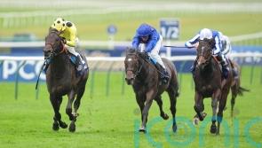 Boiling Point too hot for Newmarket rivals