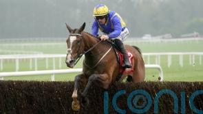 Brides Hill strolls to Punchestown victory