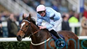 Sly hoping for Newmarket rain ahead of Beau bid