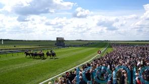 Seven Questions has all the answers in Palace House