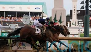 Mystik Dan clings on for victory in Kentucky Derby thriller