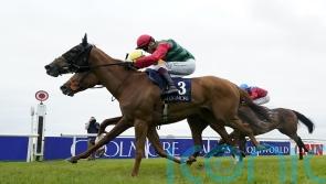 Gregarina makes her mark in Athasi debut