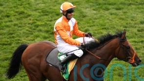 Jayarebe has Royal Ascot aspirations after Dee Stakes tilt