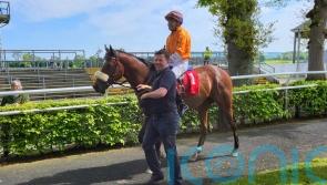 King Of The Bronx produces 200-1 shock at Gowran Park