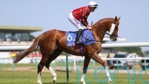 Wizard weaves his magic for Fellowes and Marquand at Ascot