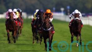 Dancing mixing it with the stars on Sunday