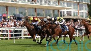 Generation game enough to grab Chartwell triumph