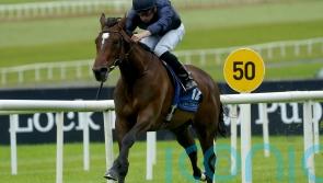 Ylang Ylang to spearhead O&rsquo;Brien&rsquo;s Oaks challenge