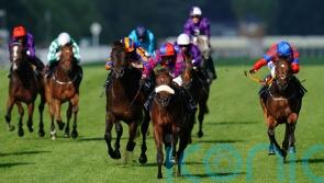 Big Evs back on path Appleby team hopes is paved with sprinting gold