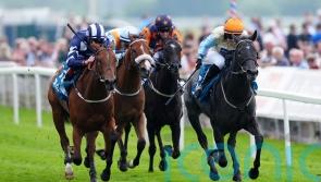 Betty Clover has Johnson Houghton in raptures with York victory