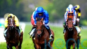 Setback rules leading fancy Arabian Crown out of Derby