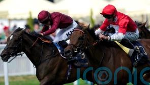 Big-money buy Rogue Millennium to make Curragh bow