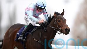 Pandora&rsquo;s Gift primed for tough turf debut against Vandeek at Haydock