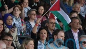 Move to recognise Palestine is only the first step, says Sinn Fein leader