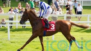 Menuisier has exciting targets in the pipeline for Devil&rsquo;s Point