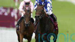 Blue Rose Cen to face tough test on first start for Guarnieri