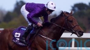 Murray backing Dallas Star to belie Derby longshot status