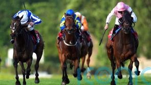 Sweet William and Havlin on the mark in Henry II Stakes
