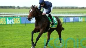 Ylang Ylang leads 15-strong Oaks field