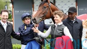 Henri Matisse battles for debut victory