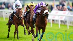 Murphy backs Satire&rsquo;s class but admits stamina question