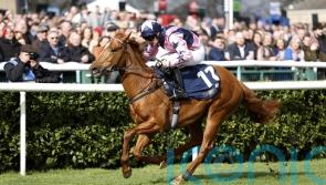 Dylan Cunha hoping Zminiature can mix it with the best at Ascot