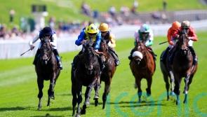 Never So Brave on course for Royal Ascot run