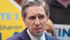 Probe after protesters disrupt Harris election canvass in Co Mayo