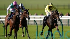 Laurel on course to return from lengthy absence at Royal Ascot