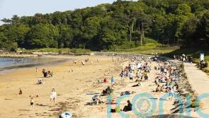 Cost and climate concerns behind staycation popularity, survey finds