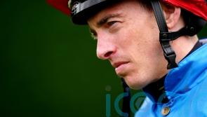 Wathnan well-stocked with Royal Ascot juvenile prospects