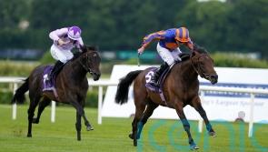 Portland in line for Royal Ascot after game Leopardstown win