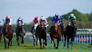 Pogo primed to go close in Haydock repeat bid