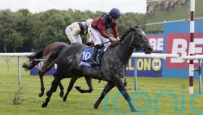Tiber Flow bounces right back from York spill