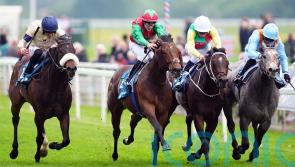 Middleham Park aiming to put a ring on Ascot success