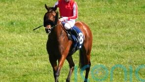 Seven Questions supplemented for King Charles after impressing George Scott