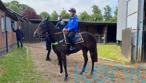 Henry Dwyer savouring Royal Ascot experience with Asfoora