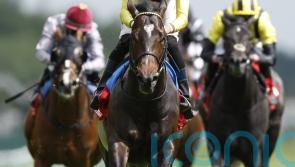 Inisherin joins cracking line-up for Commonwealth Cup