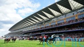 All looking set fare for Ascot on the ground front