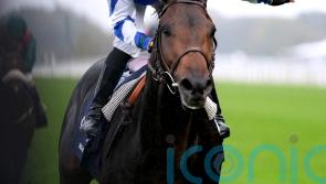 Big Rock back at the scene of his finest hour for Queen Anne challenge